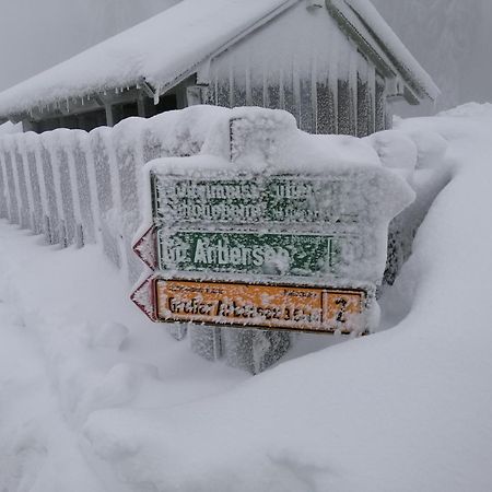 Apartman Arberblick 20 Bayerisch Eisenstein Exteriér fotografie